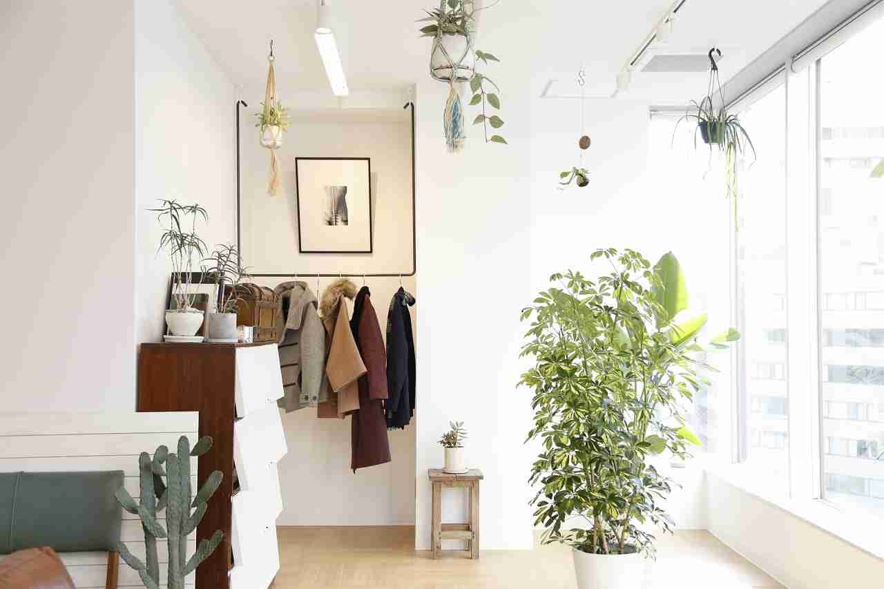 家族の絆を深めるdiy建売住宅 Diy建売住宅 家族の絆編 静岡 清水 木の家の工務店 株式会社アキヤマ
