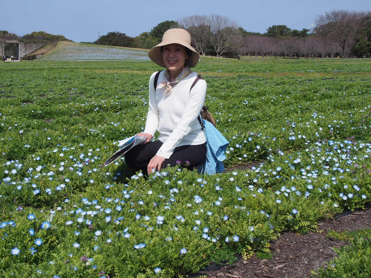 坂田泰子のプロフイール