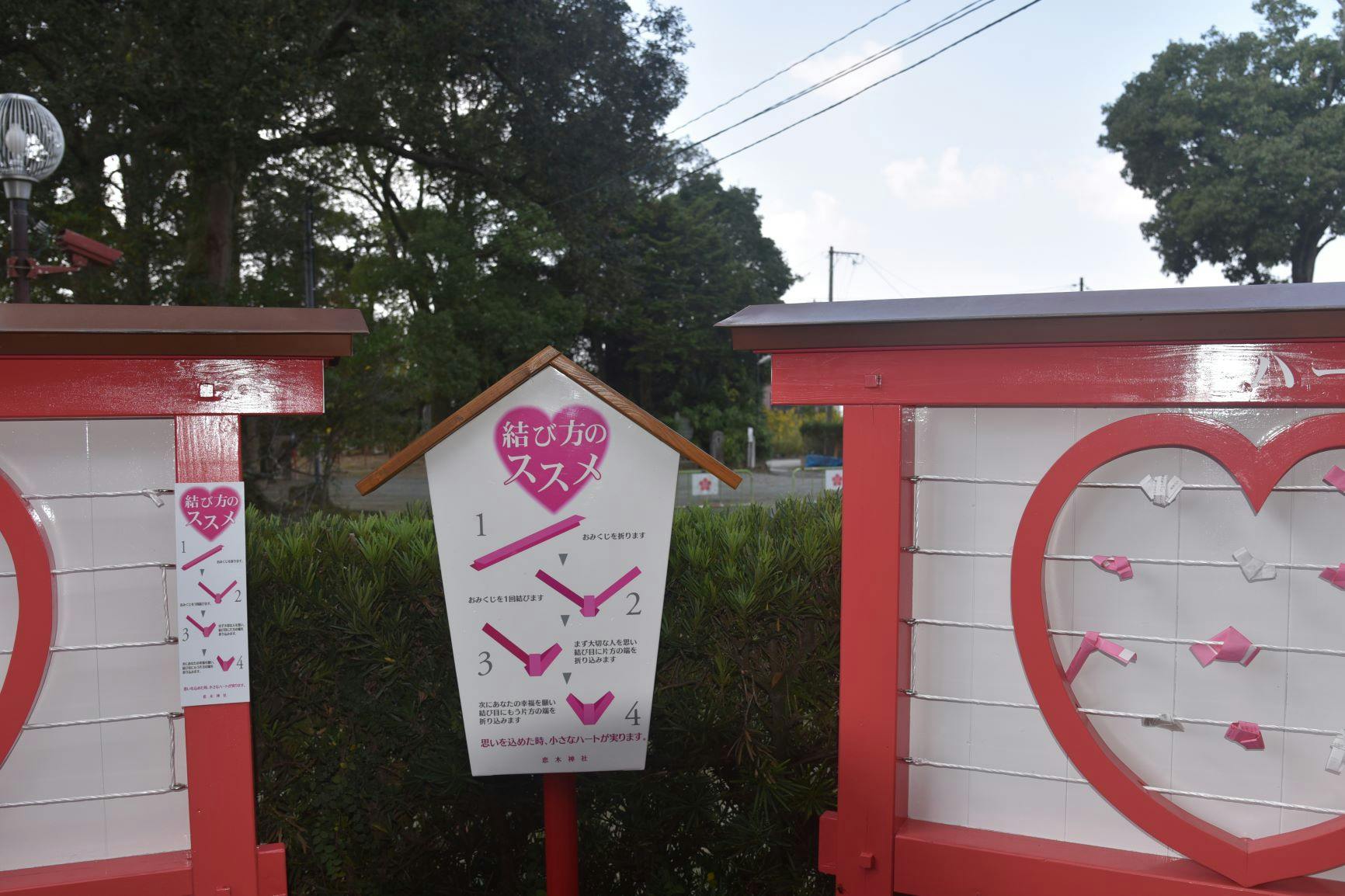 恋木神社おみくじ