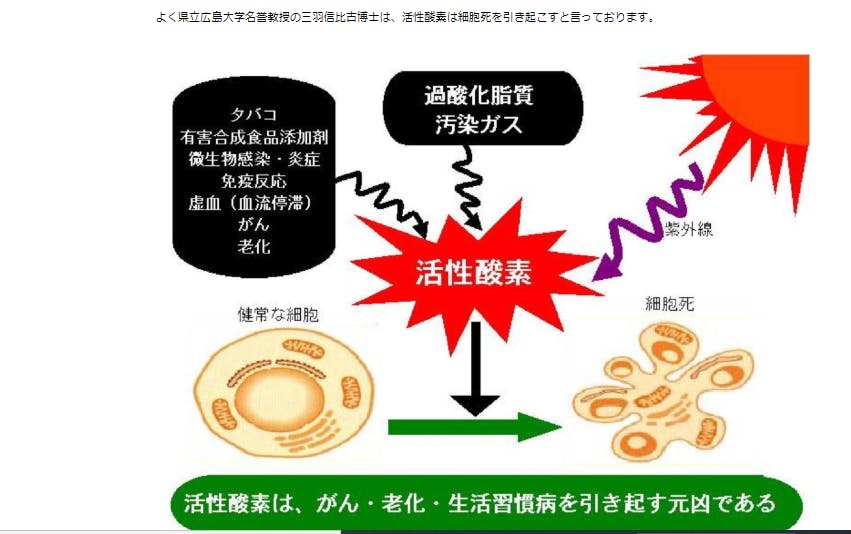 活性酸素が体にいかに害を与えるか。