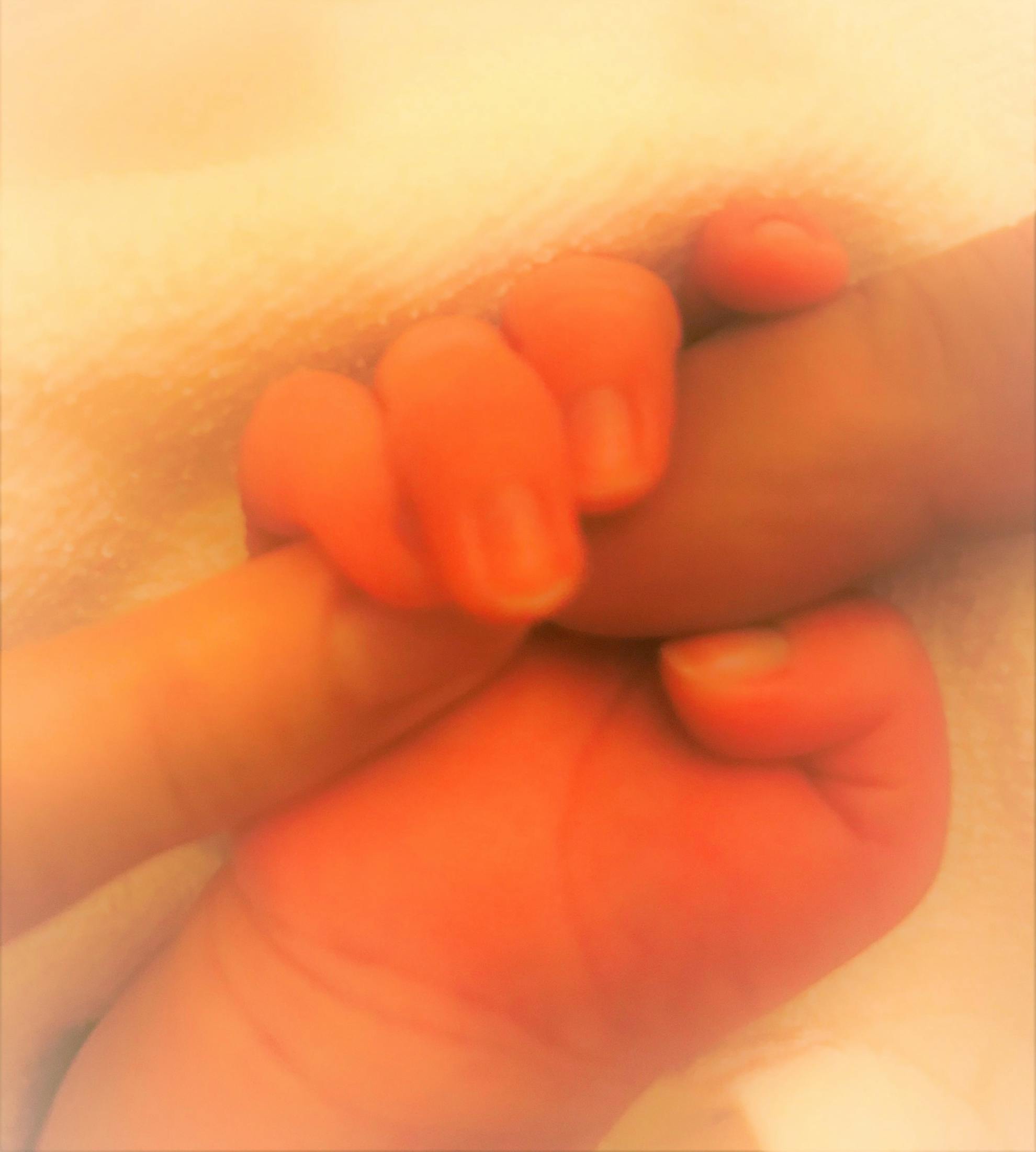 両親の指を握る赤ちゃんの手