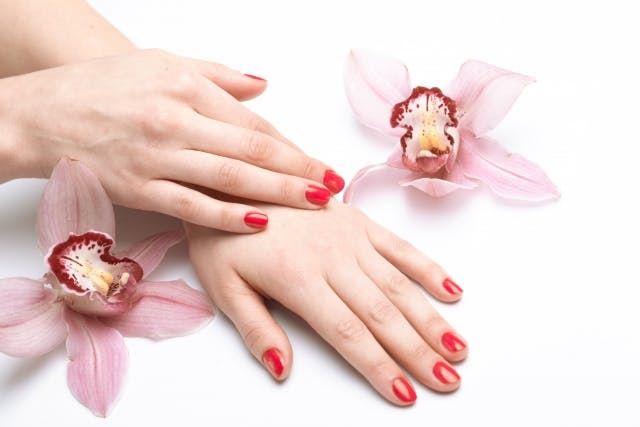 花2つと赤いネイルをした女性の手