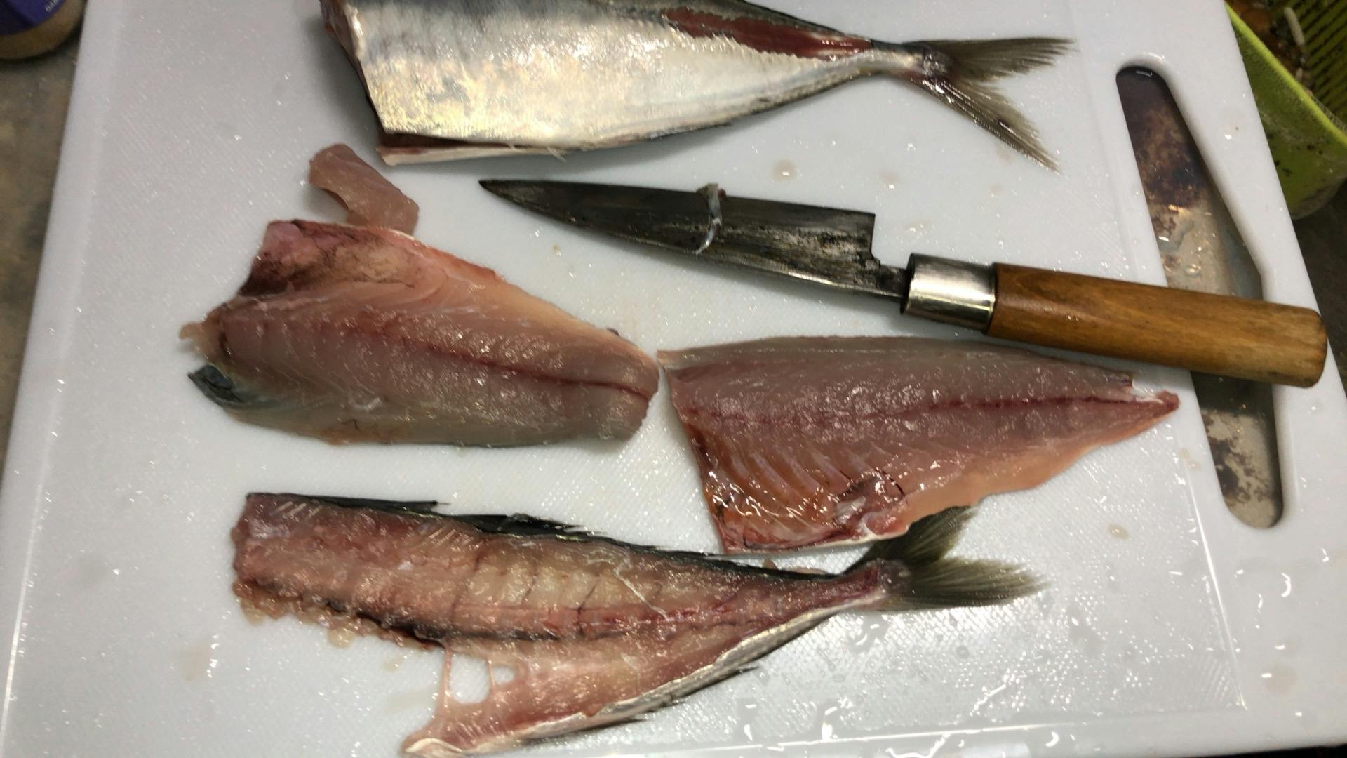 魚,内田誠,東京ナイフ